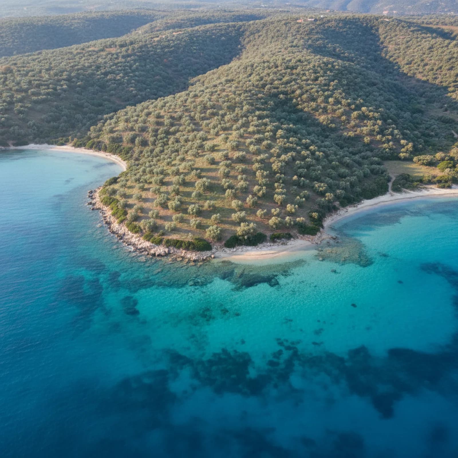 Coastal development plot, Halkidiki